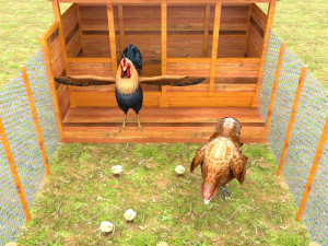 Chicken Coop 3D Model
