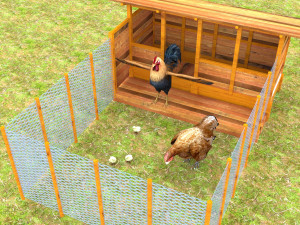 Chicken Coop 3D Model