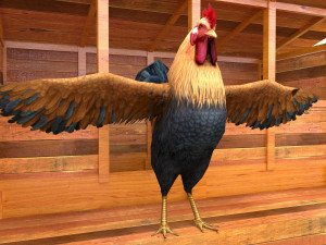 Chicken Coop 3D Model
