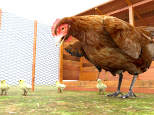 Chicken Coop 3D Model