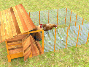 Chicken Coop 3D Model