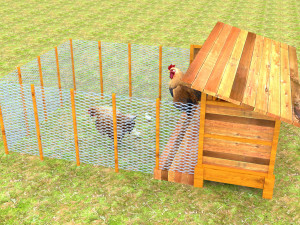 Chicken Coop 3D Model