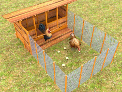 Chicken Coop 3D Model