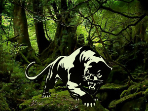 Panther 3D मॉडल
