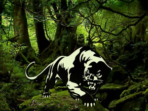 Panther 3D Model