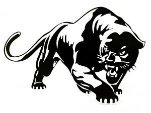 Panther 3D Model
