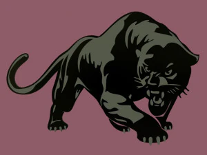 Panther 3D Model