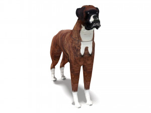 Boxer Dog 4K 3D मॉडल
