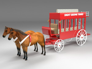 Sight Seeing Tours Modello 3D
