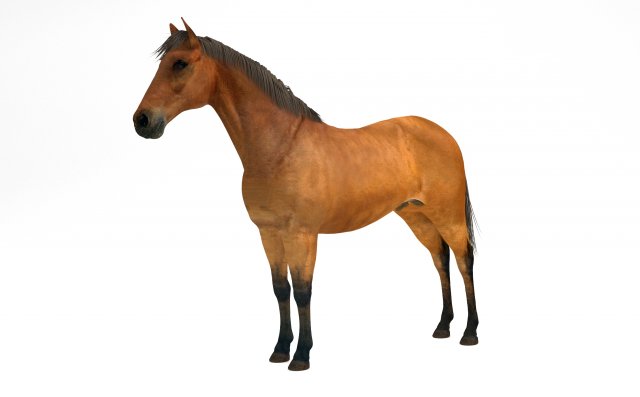 Brown Horse Modelo 3D .c4d .max .obj .3ds .fbx .stl .blend 