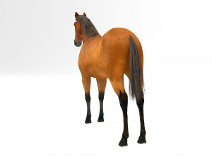 Brown Horse Modelo 3D