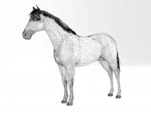Brown Horse 3D Model