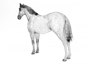 Brown Horse 3D Model