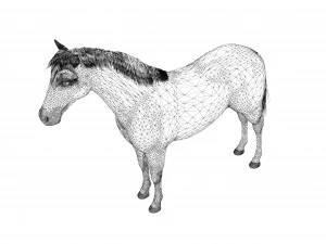 Brown Horse 3D Model