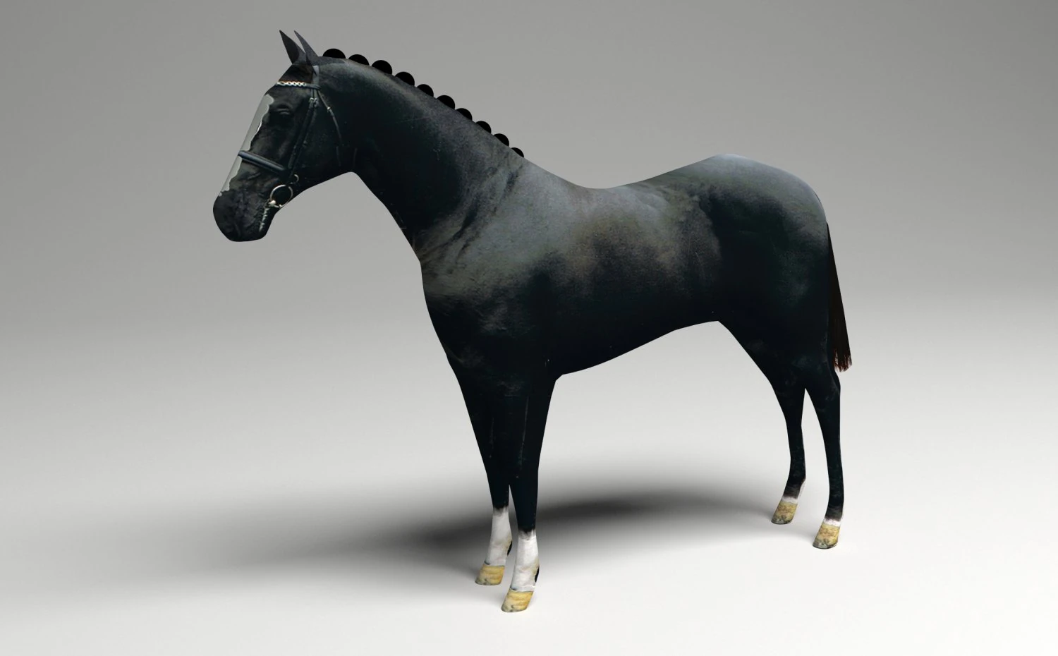 Black Horse 3D Model .c4d .max .obj .3ds .fbx .stl .blend