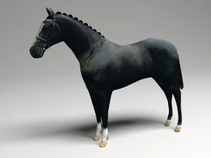 Schwarzes Pferd 3D Modell