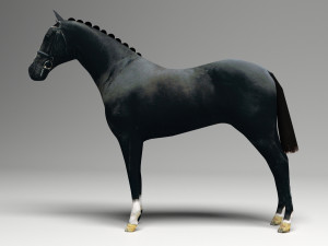 Black Horse Modelo 3D