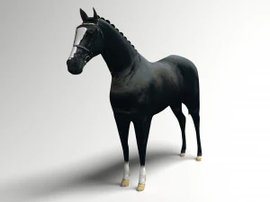Black Horse 3D Model