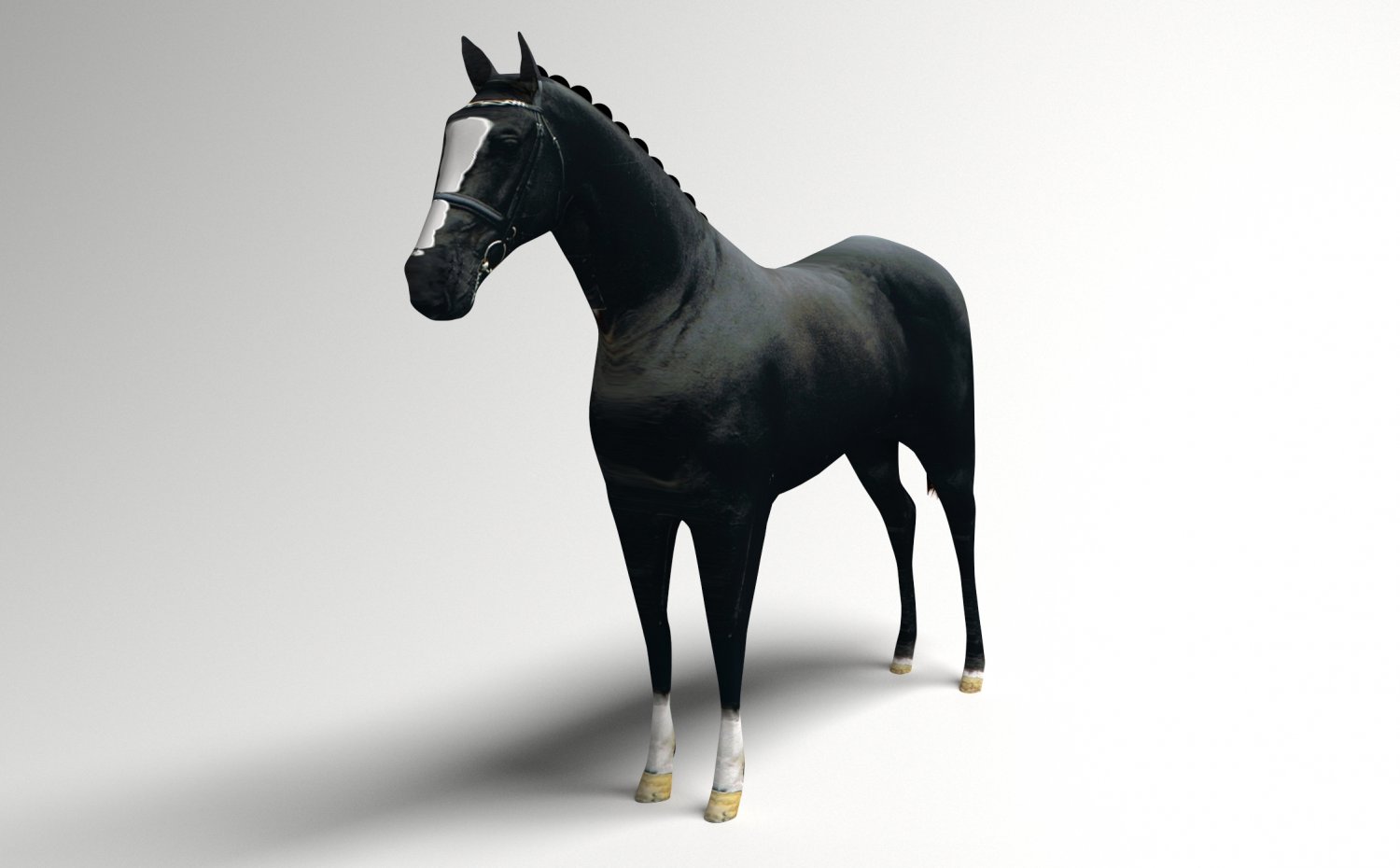 Лошадь 3д модель. Зибраш лошадь. Zbrush конь. Збраш лошадь. Лошадь Zbrush.