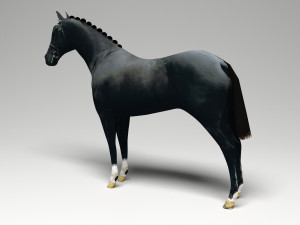 Black Horse Modelo 3D