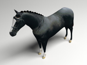 Black Horse Modelo 3D