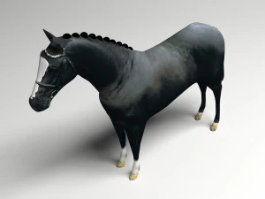 Black Horse 3D Model