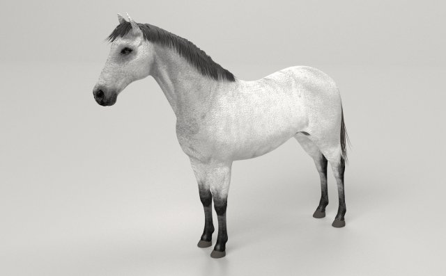 Gray Horse 3D Модель In Лошадь 3DExport