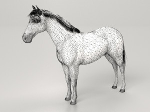 Gray Horse Modelo 3D