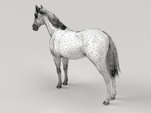 Gray Horse Modelo 3D