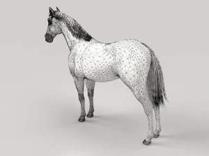 Gray Horse 3D Model