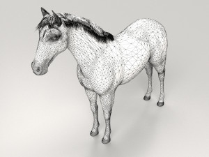 Gray Horse Modelo 3D