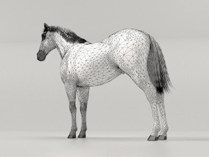 Gray Horse Modelo 3D