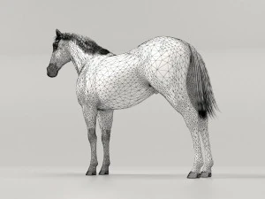 Gray Horse 3D Model