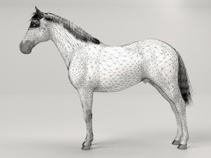 Gray Horse Modelo 3D