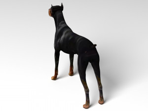 Doberman Dog Modello 3D