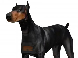 Doberman Dog Modello 3D
