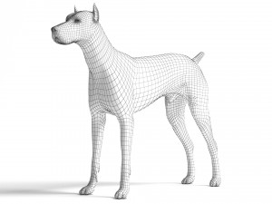 Doberman Dog Modello 3D