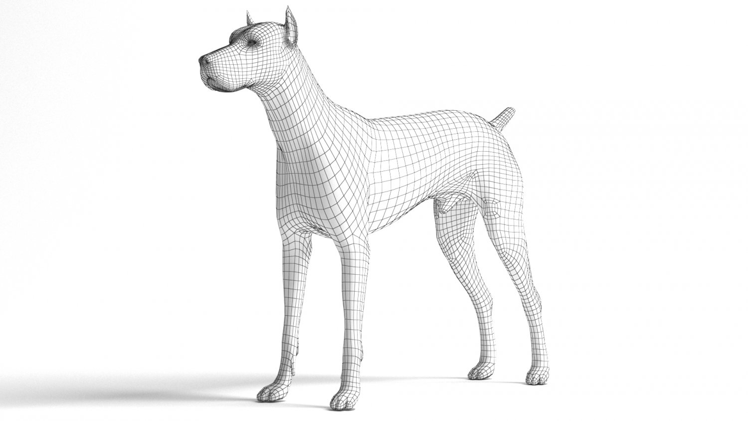 Doberman studio 3d на русском