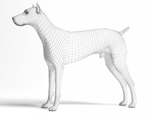 Doberman Dog Modello 3D