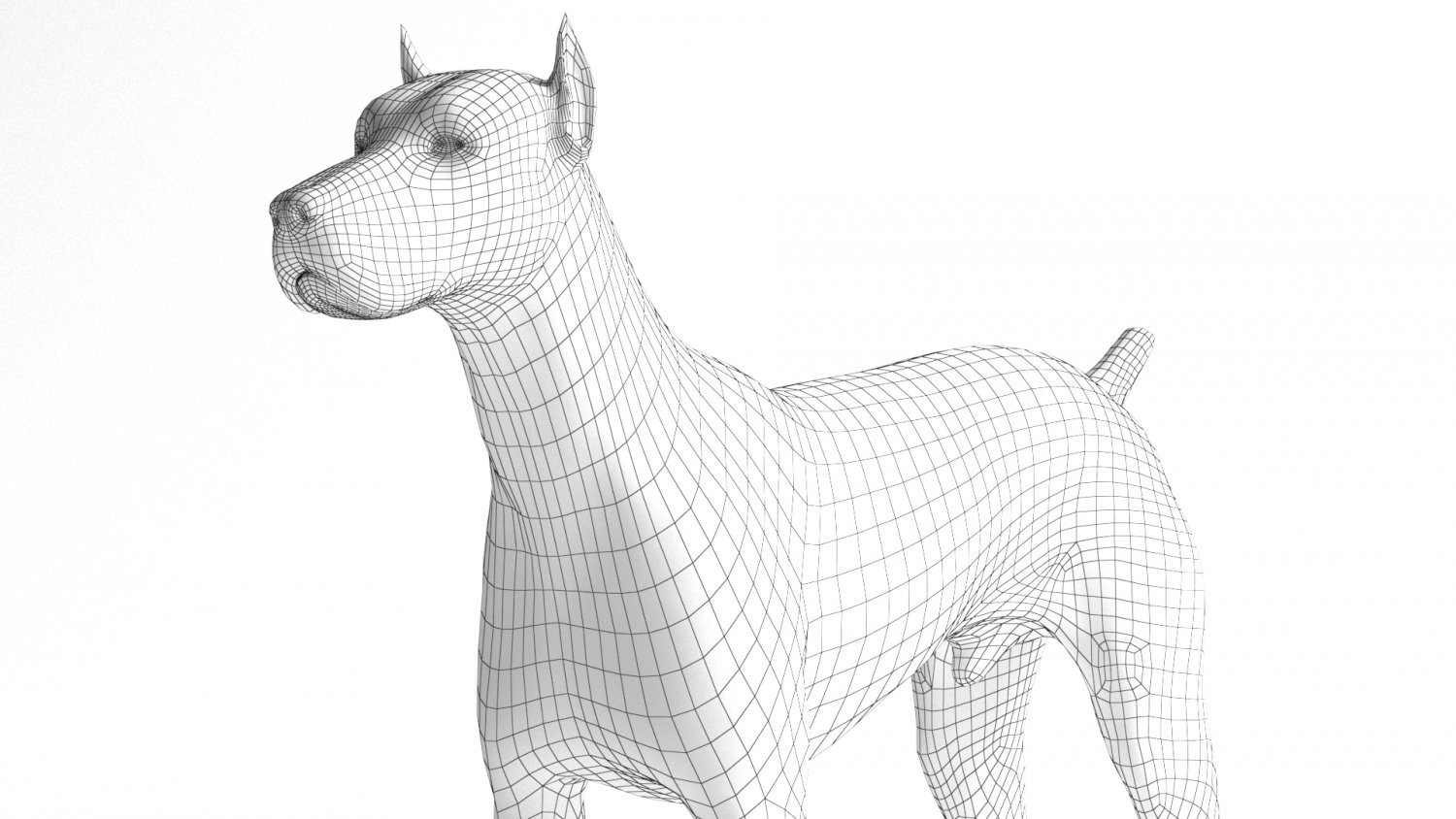 Doberman studio 3d на русском. Чертеж добермана из проволоки