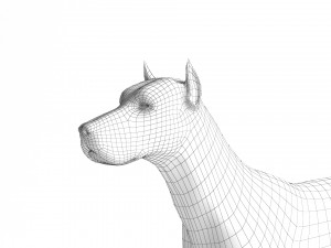 Doberman Dog Modello 3D