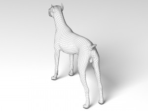 Doberman Dog Modello 3D