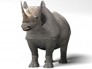 Rhino Modelo 3D