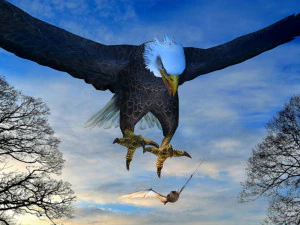 Eagle Attack 3D Model