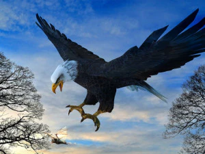 Eagle Attack 3D Model