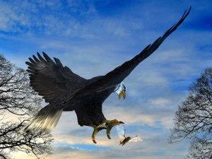 Eagle Attack 3D Model
