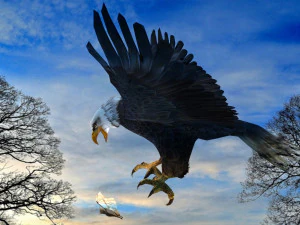 Eagle Attack 3D Model
