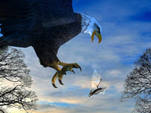 Eagle Attack 3D Model