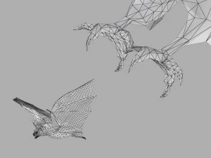 Eagle Attack 3D Model