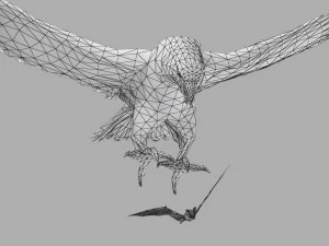 Eagle Attack 3D Model